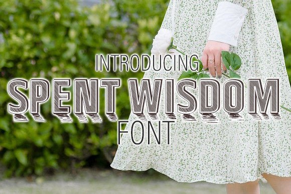 Spent Wisdom Font for Web Design